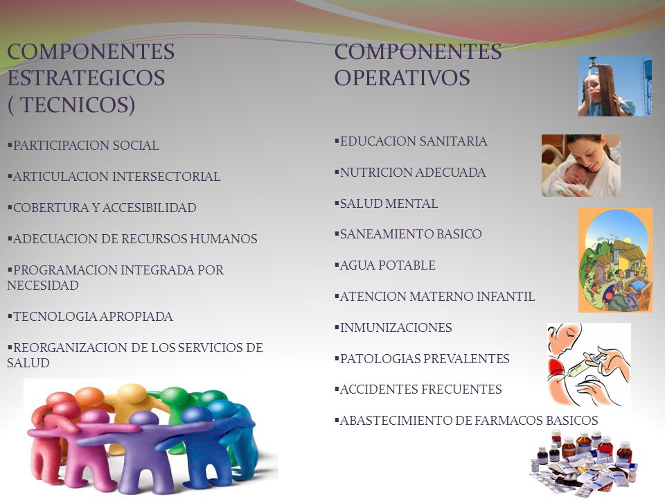 COMPONENTES ESTRATEGICOS ( TECNICOS) COMPONENTES OPERATIVOS
