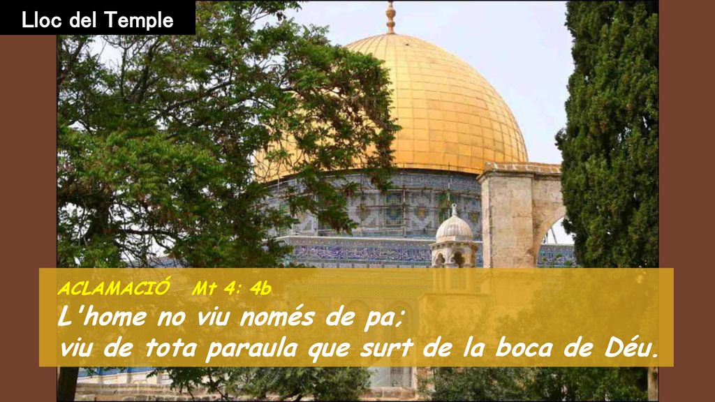 viu de tota paraula que surt de la boca de Déu.