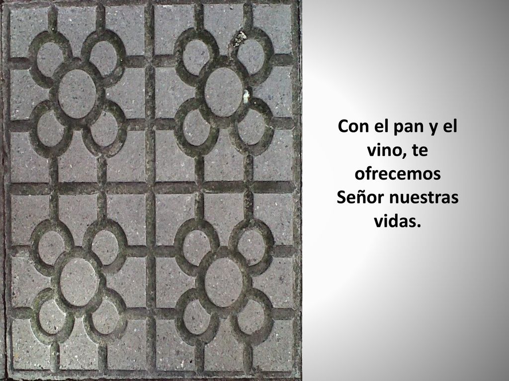 Con el pan y el vino, te ofrecemos Señor nuestras vidas.