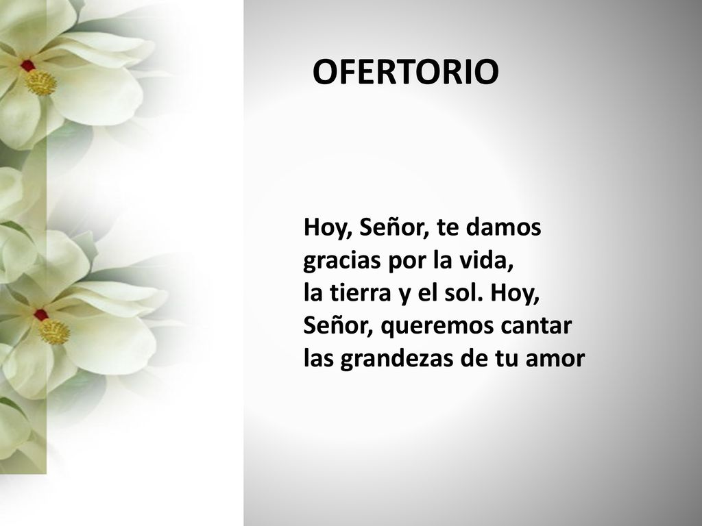 OFERTORIO Hoy, Señor, te damos gracias por la vida,