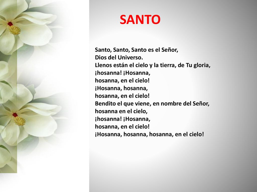 SANTO Santo, Santo, Santo es el Señor, Dios del Universo.