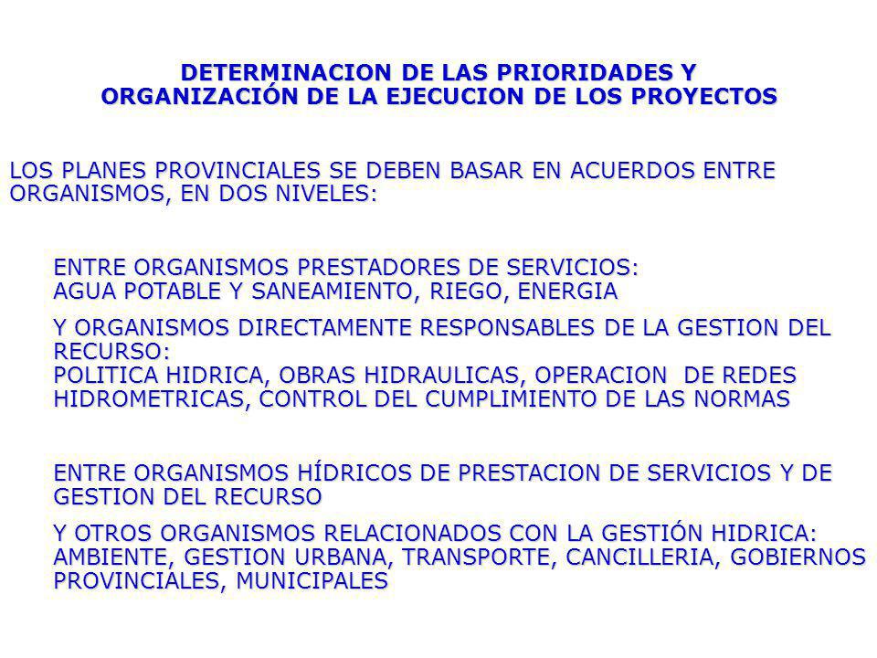 DETERMINACION DE LAS PRIORIDADES Y ORGANIZACIÓN DE LA EJECUCION DE LOS PROYECTOS