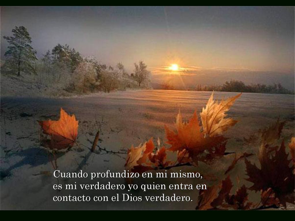 Cuando profundizo en mi mismo, es mi verdadero yo quien entra en contacto con el Dios verdadero.