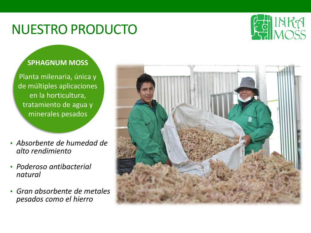 NUESTRO PRODUCTO Absorbente de humedad de alto rendimiento