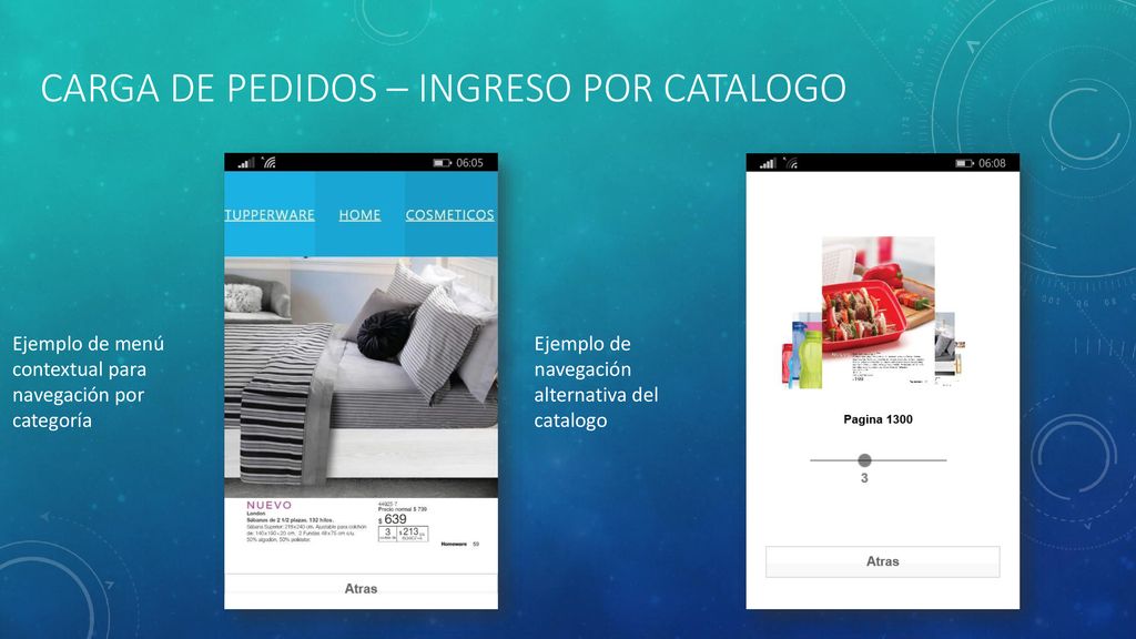 Carga de pedidos – ingreso Por Catalogo