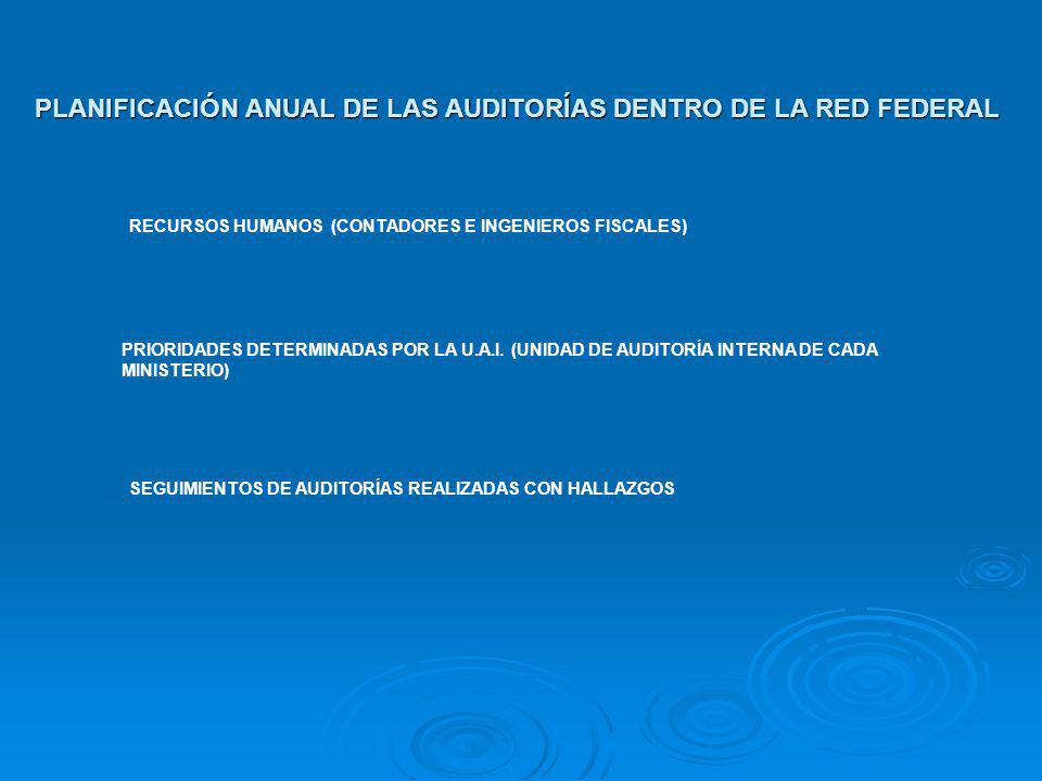 PLANIFICACIÓN ANUAL DE LAS AUDITORÍAS DENTRO DE LA RED FEDERAL