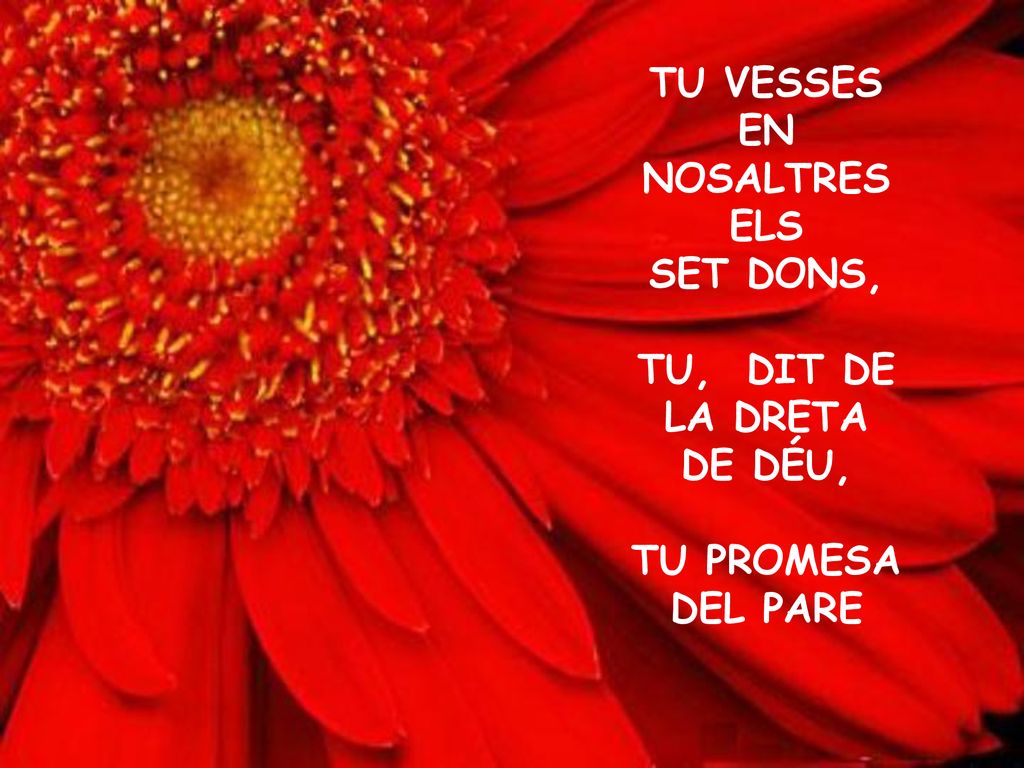 TU VESSES EN NOSALTRES ELS SET DONS, TU, DIT DE LA DRETA DE DÉU, TU PROMESA DEL PARE