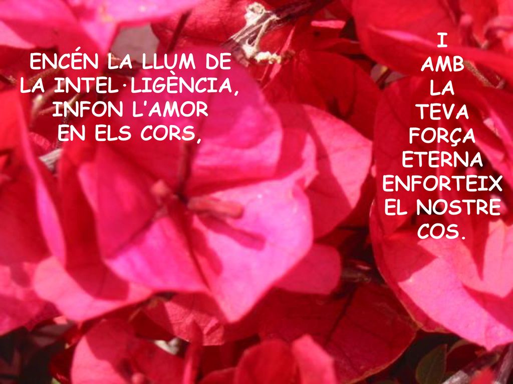 I AMB LA TEVA FORÇA ETERNA ENFORTEIX EL NOSTRE COS.