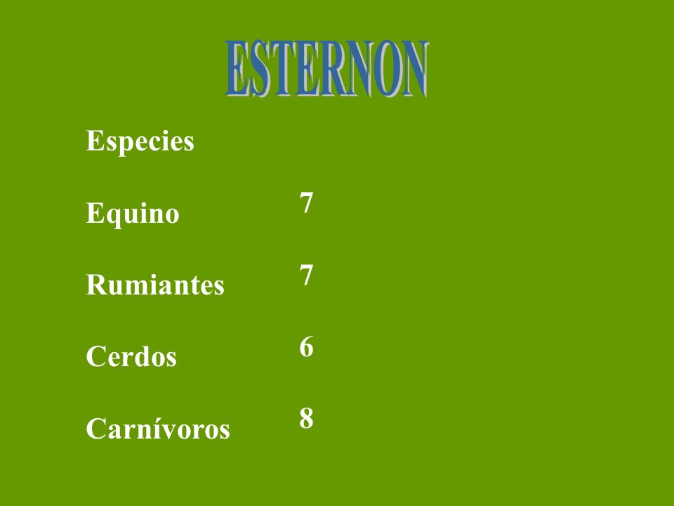 ESTERNON Especies Equino Rumiantes Cerdos Carnívoros 7 6 8