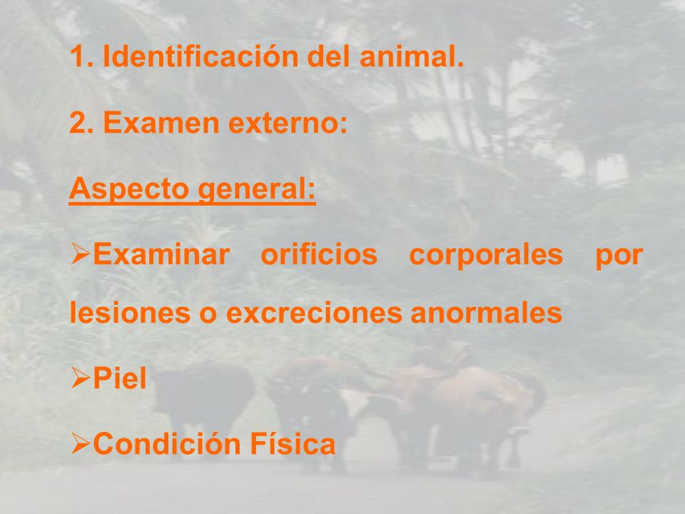 1. Identificación del animal.