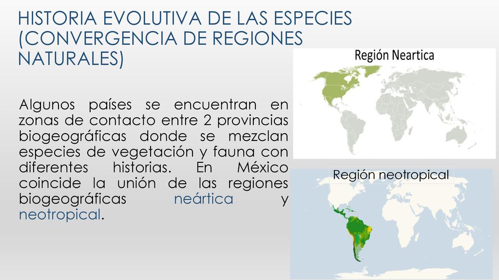 Historia evolutiva de las especies (convergencia de regiones naturales)