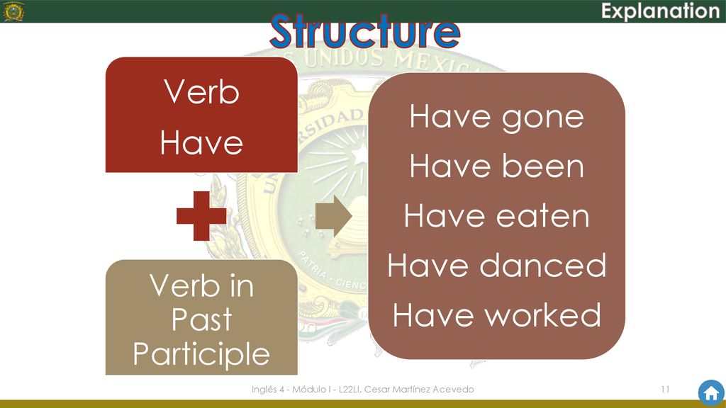 Structure Verb Have Have gone Have been Have eaten Have danced