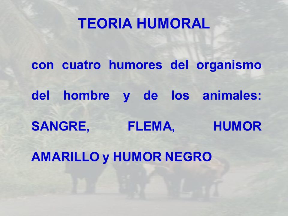TEORIA HUMORAL con cuatro humores del organismo del hombre y de los animales: SANGRE, FLEMA, HUMOR AMARILLO y HUMOR NEGRO.