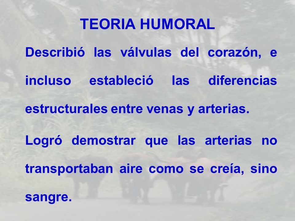 TEORIA HUMORAL Describió las válvulas del corazón, e incluso estableció las diferencias estructurales entre venas y arterias.
