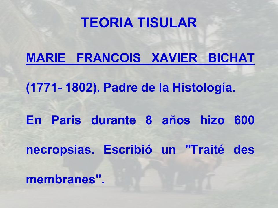 TEORIA TISULAR MARIE FRANCOIS XAVIER BICHAT ( ). Padre de la Histología.