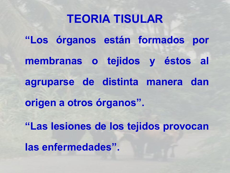 TEORIA TISULAR Los órganos están formados por membranas o tejidos y éstos al agruparse de distinta manera dan origen a otros órganos .
