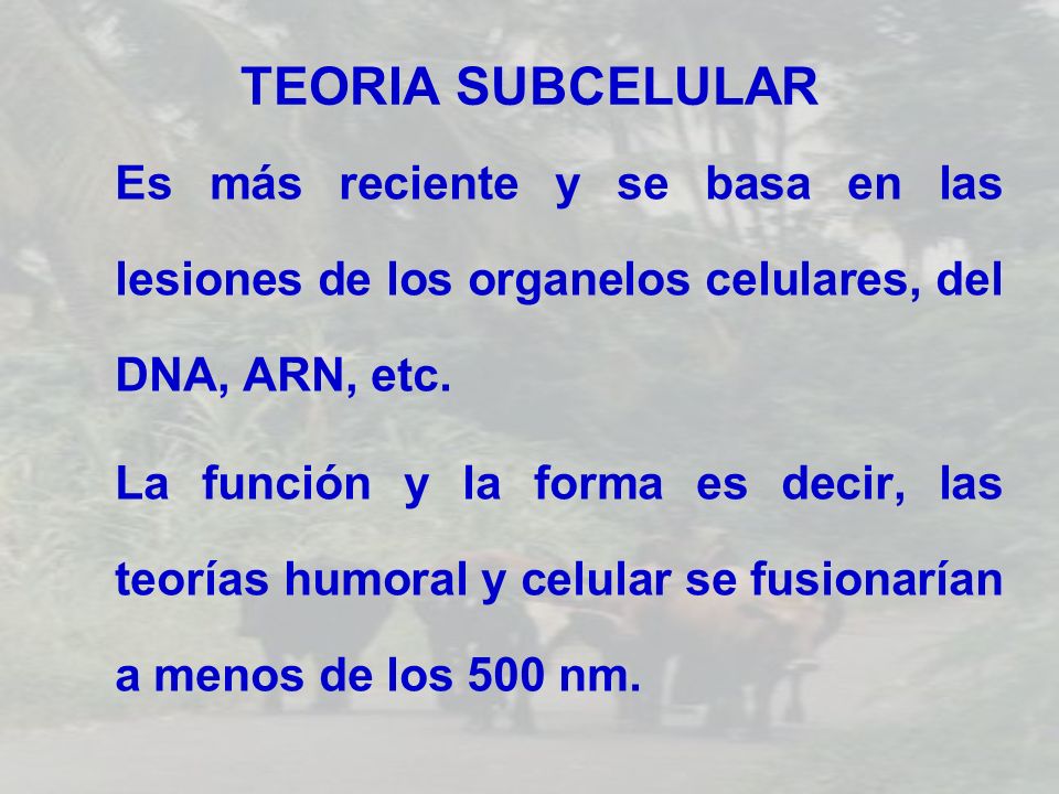 TEORIA SUBCELULAR Es más reciente y se basa en las lesiones de los organelos celulares, del DNA, ARN, etc.