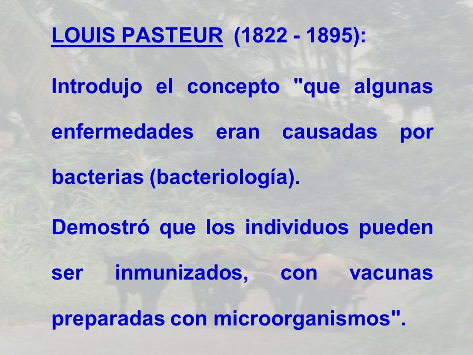 LOUIS PASTEUR ( ): Introdujo el concepto que algunas enfermedades eran causadas por bacterias (bacteriología).
