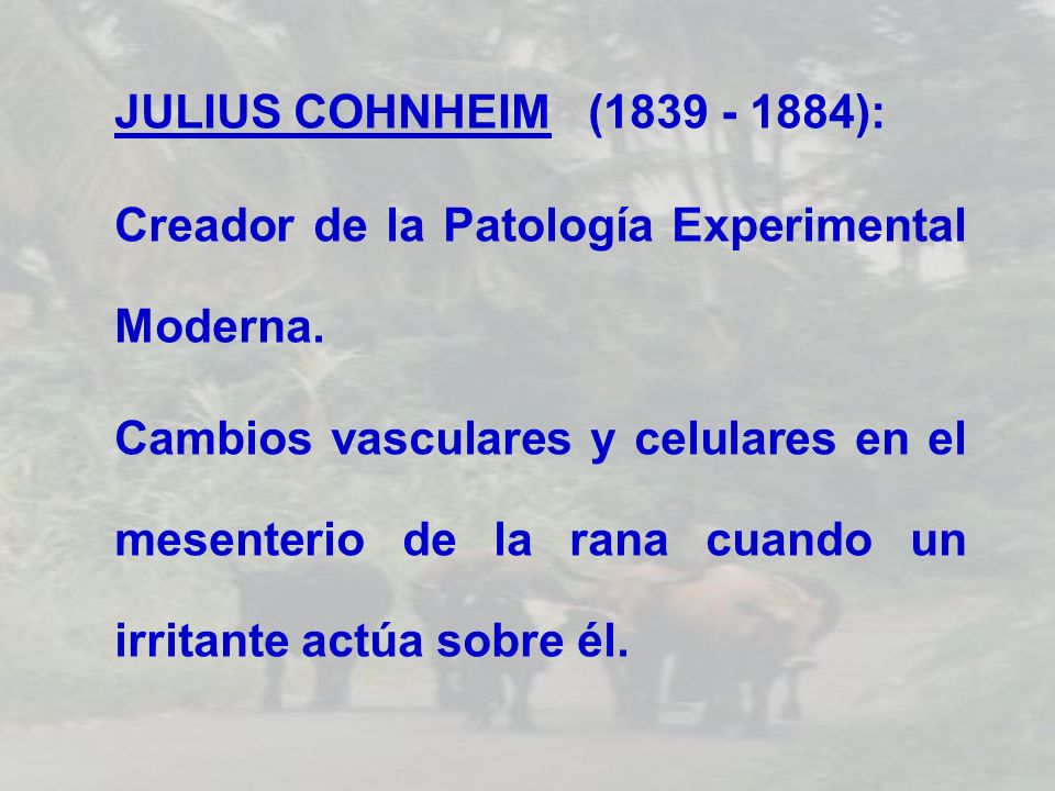JULIUS COHNHEIM ( ): Creador de la Patología Experimental Moderna.