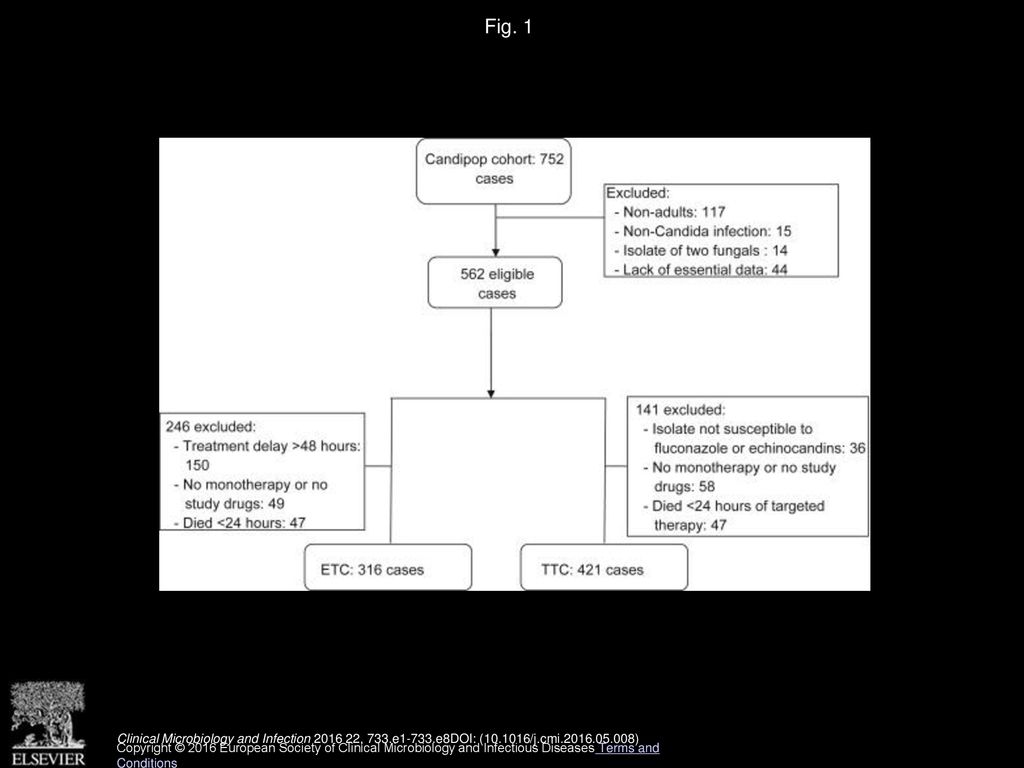 Fig. 1 Flowchart of cases included in empirical therapy cohort (ETC) and targeted therapy cohort (TTC). BSI = bloodstream infection.