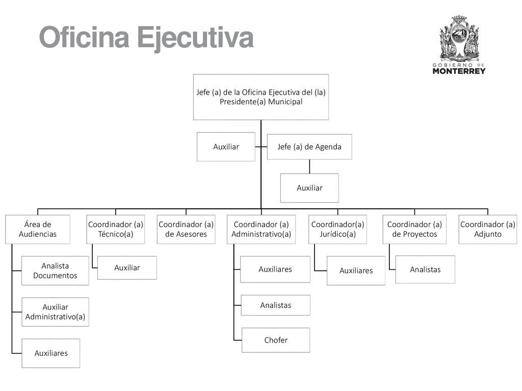 Oficina Ejecutiva Jefe (a) de la Oficina Ejecutiva del (la) Presidente(a) Municipal. Área de Audiencias.