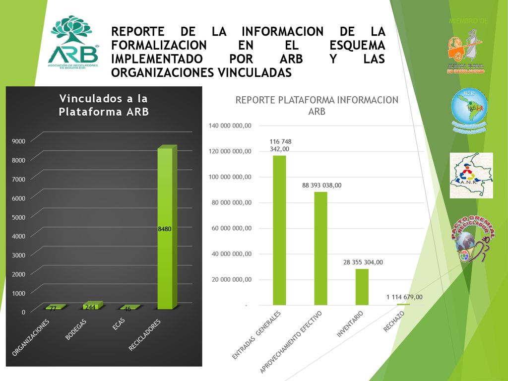 MIEMBRO DE REPORTE DE LA INFORMACION DE LA FORMALIZACION EN EL ESQUEMA IMPLEMENTADO POR ARB Y LAS ORGANIZACIONES VINCULADAS.