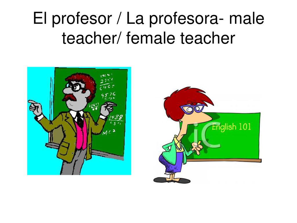 El profesor / La profesora- male teacher/ female teacher