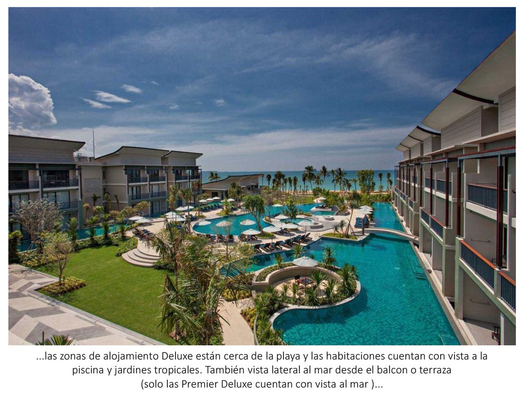 (solo las Premier Deluxe cuentan con vista al mar )...