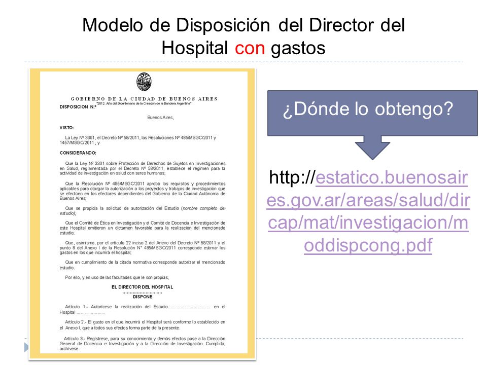 Modelo de Disposición del Director del Hospital con gastos