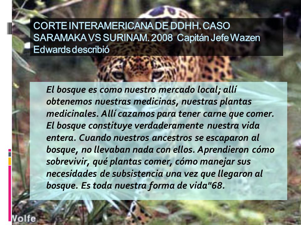 CORTE INTERAMERICANA DE DDHH. CASO SARAMAKA VS SURINAM