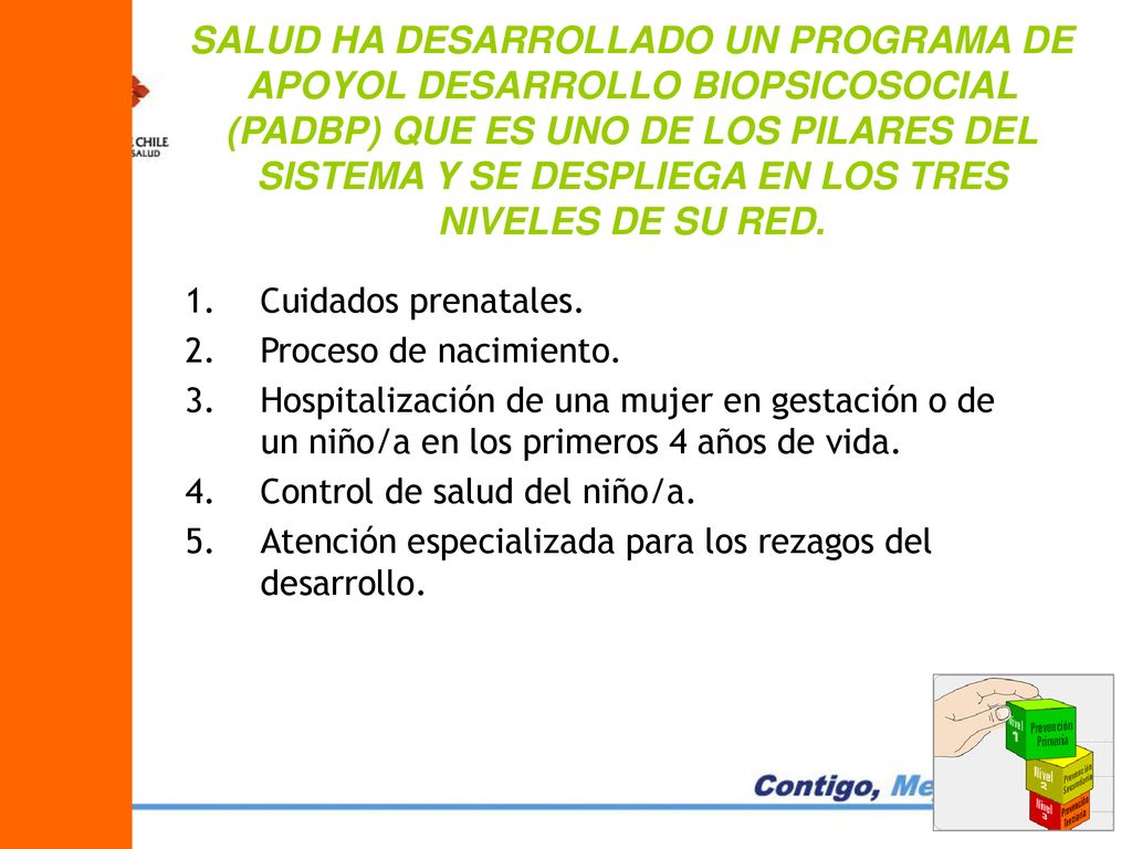 SALUD HA DESARROLLADO UN PROGRAMA DE APOYOL DESARROLLO BIOPSICOSOCIAL (PADBP) QUE ES UNO DE LOS PILARES DEL SISTEMA Y SE DESPLIEGA EN LOS TRES NIVELES DE SU RED.