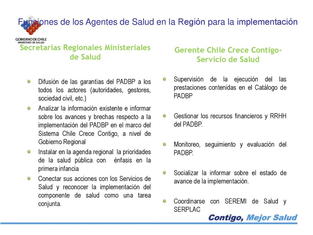 Funciones de los Agentes de Salud en la Región para la implementación