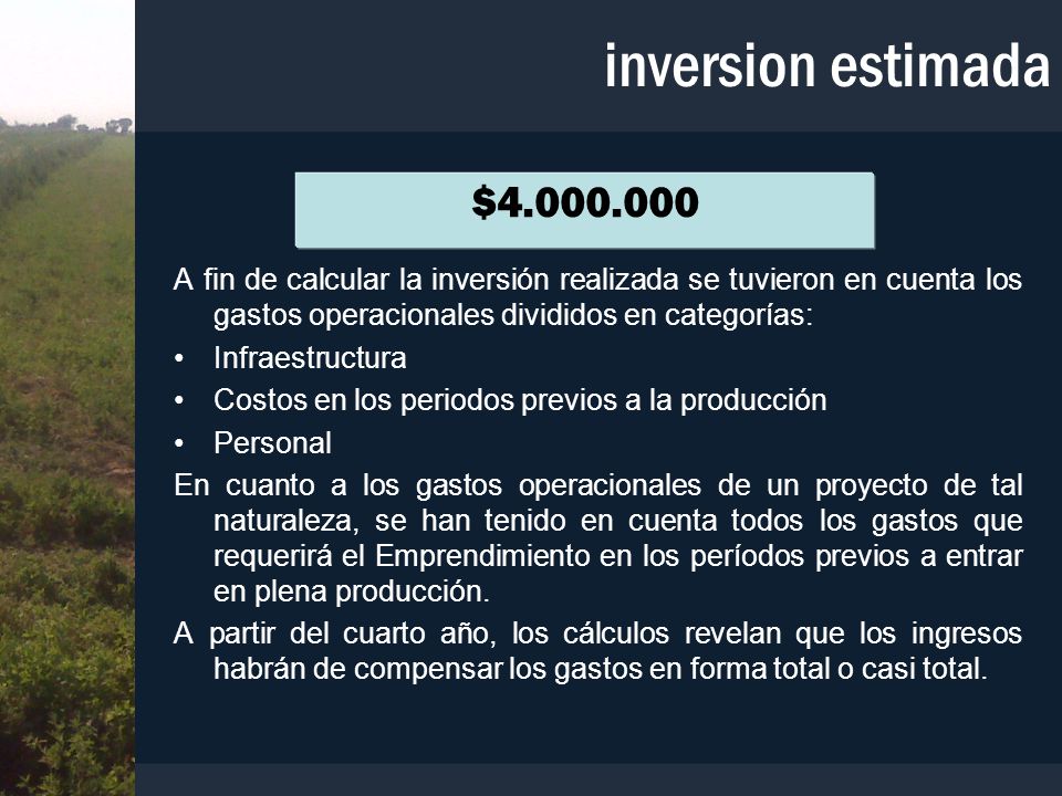 inversion estimada $ A fin de calcular la inversión realizada se tuvieron en cuenta los gastos operacionales divididos en categorías:
