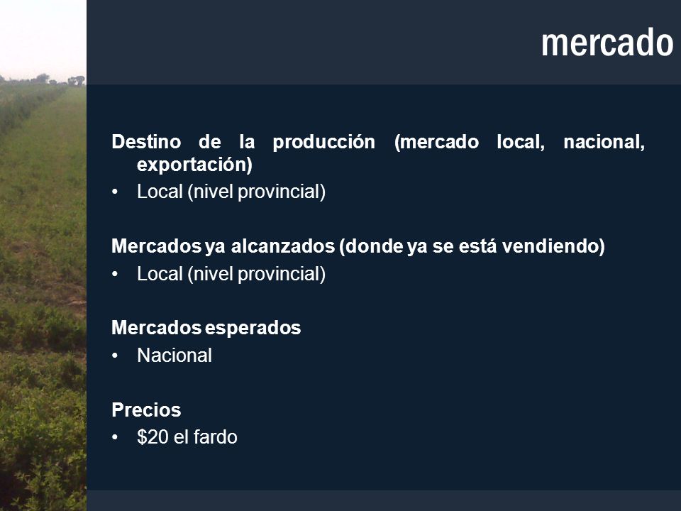 mercado Destino de la producción (mercado local, nacional, exportación) Local (nivel provincial)