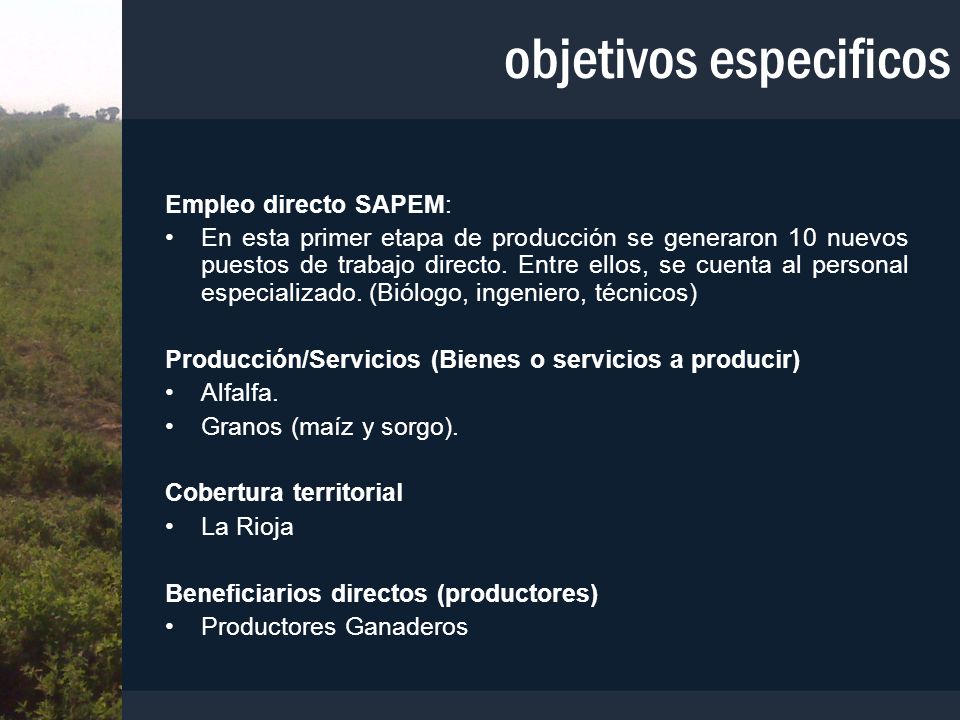 objetivos especificos