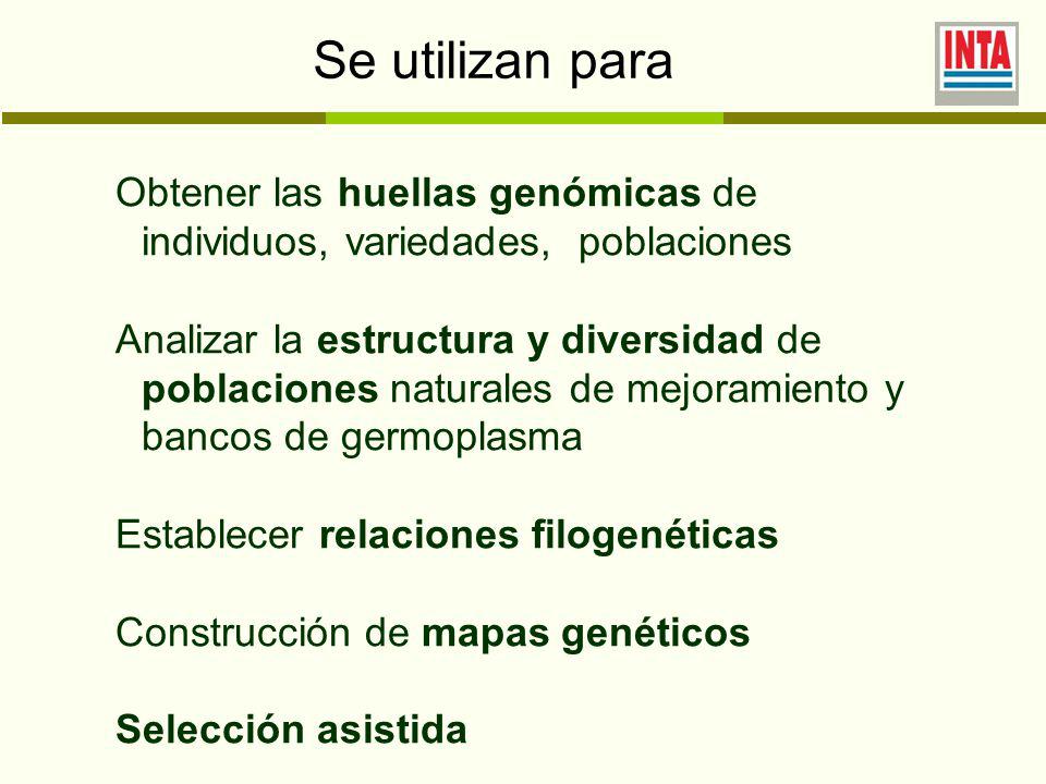 Se utilizan para Obtener las huellas genómicas de individuos, variedades, poblaciones.