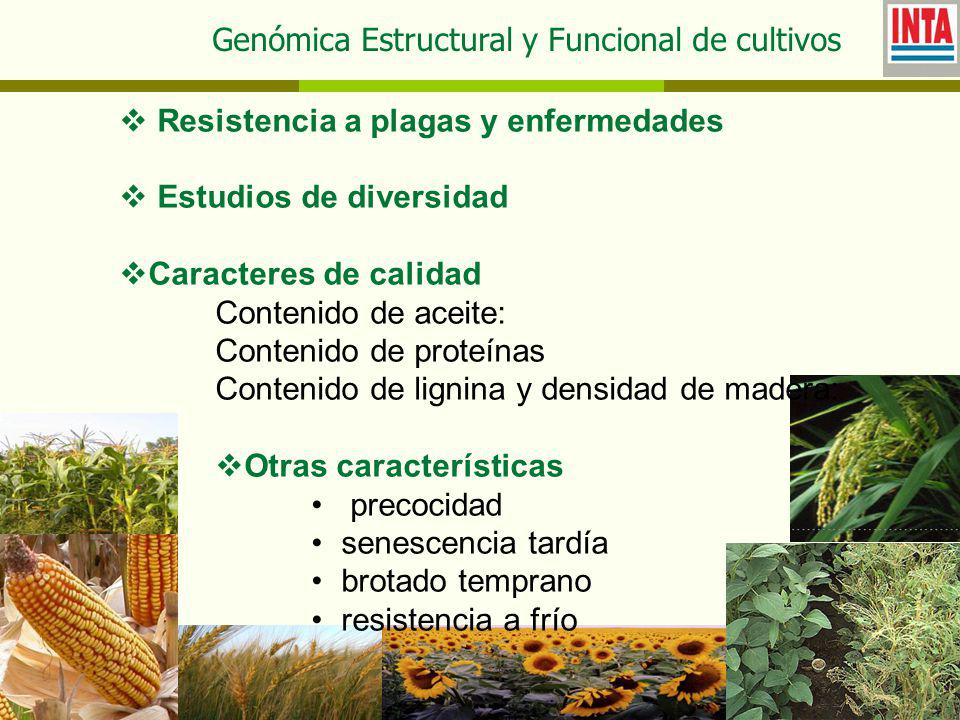 Genómica Estructural y Funcional de cultivos