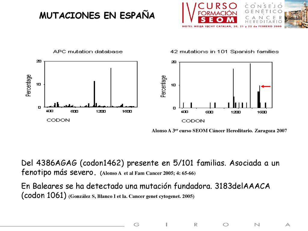 MUTACIONES EN ESPAÑA Alonso A 3er curso SEOM Cáncer Hereditario. Zaragoza