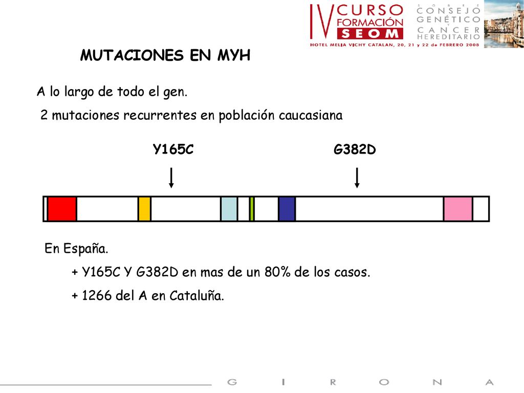 MUTACIONES EN MYH A lo largo de todo el gen.