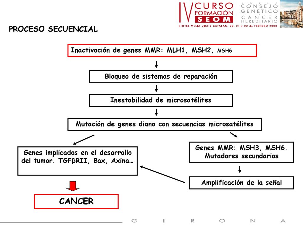 CANCER PROCESO SECUENCIAL Inactivación de genes MMR: MLH1, MSH2, MSH6