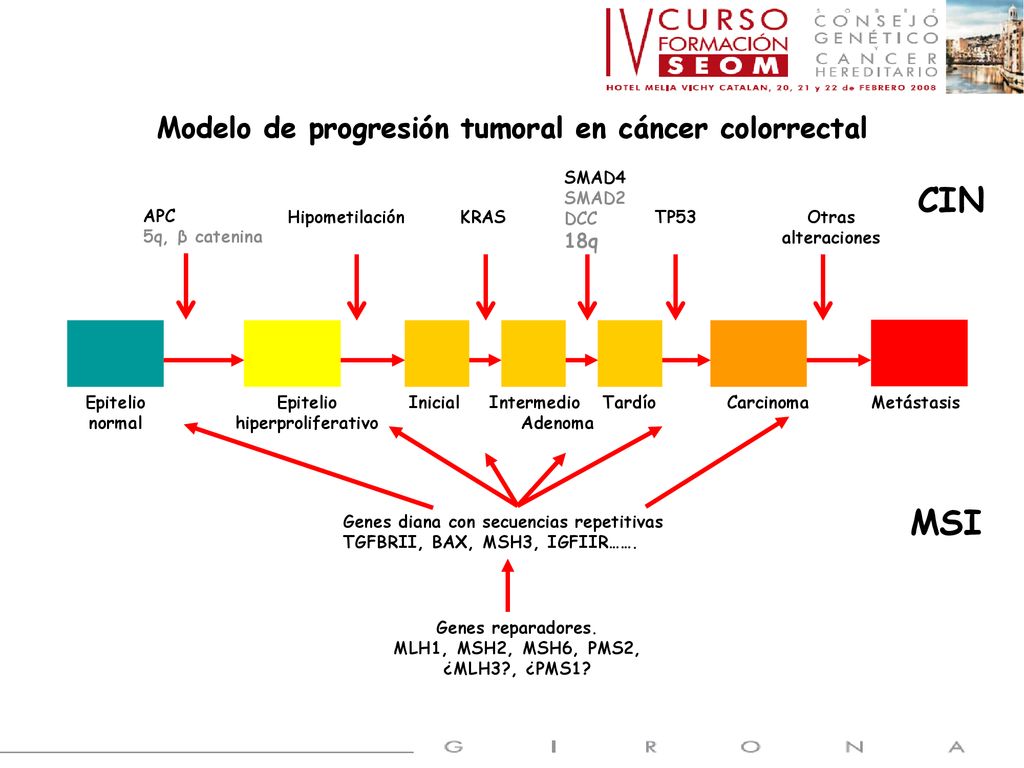 Modelo de progresión tumoral en cáncer colorrectal