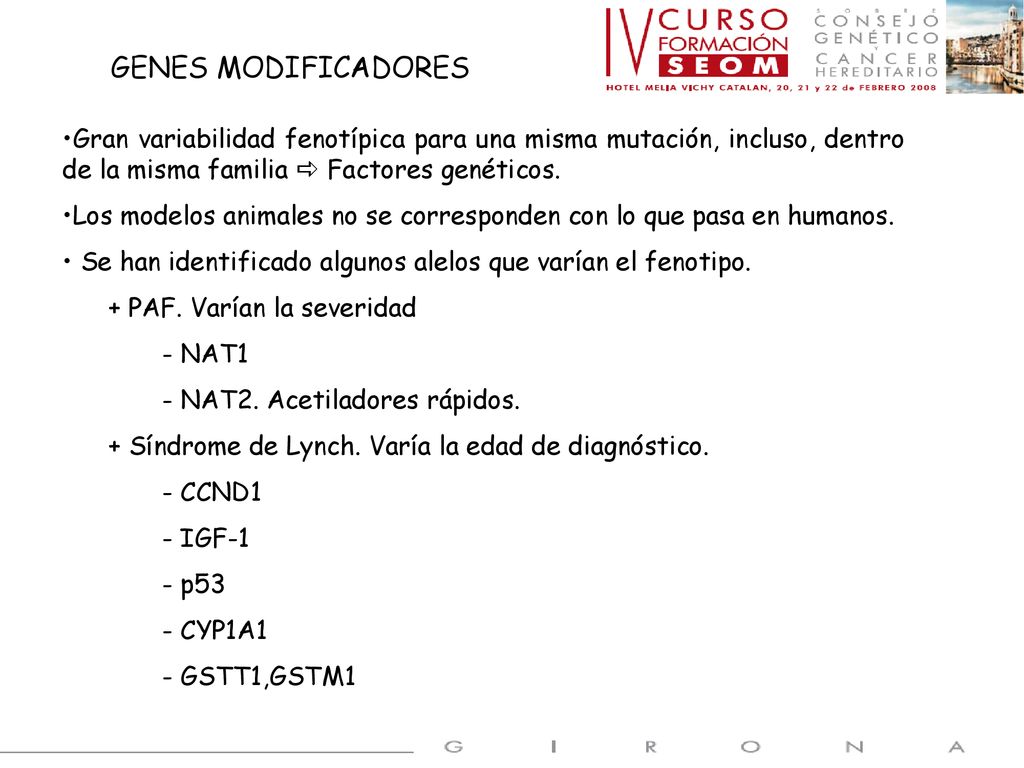 GENES MODIFICADORES Gran variabilidad fenotípica para una misma mutación, incluso, dentro de la misma familia  Factores genéticos.