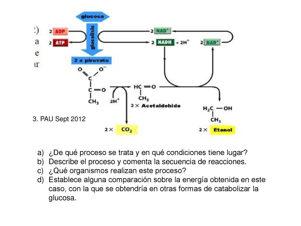 ¿De qué proceso se trata y en qué condiciones tiene lugar