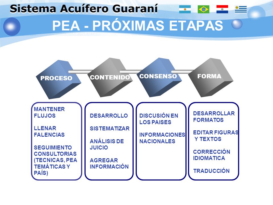 PEA - PRÓXIMAS ETAPAS CONTENIDO CONSENSO FORMA PROCESO MANTENER FLUJOS