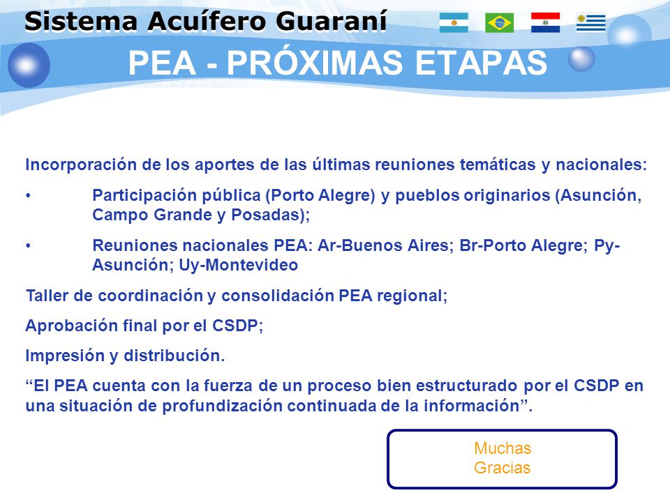 PEA - PRÓXIMAS ETAPAS Incorporación de los aportes de las últimas reuniones temáticas y nacionales: