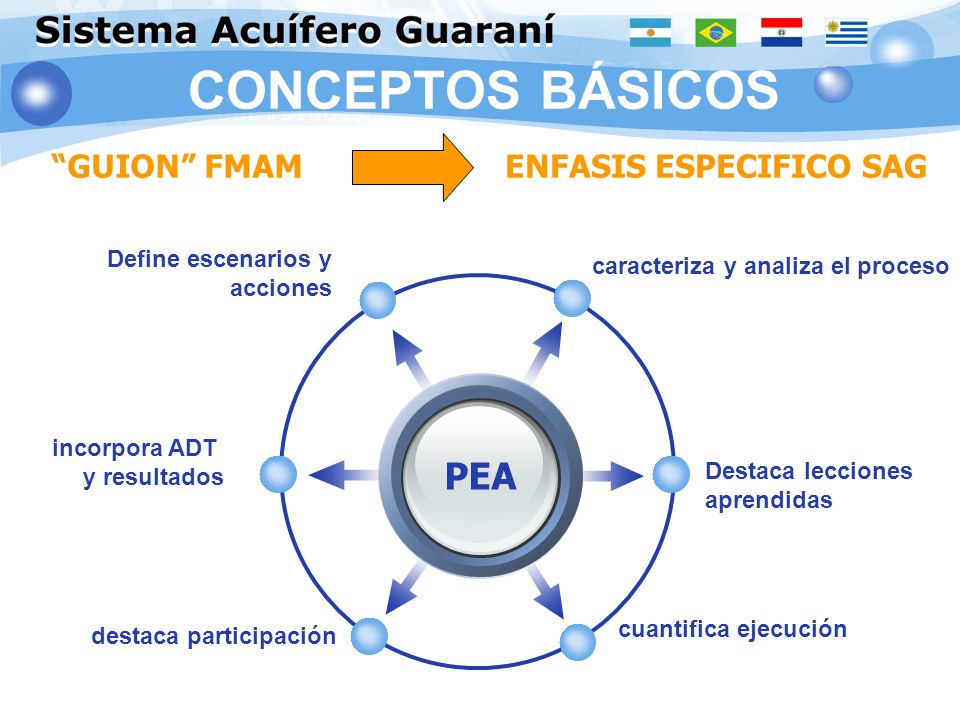 CONCEPTOS BÁSICOS PEA GUION FMAM ENFASIS ESPECIFICO SAG