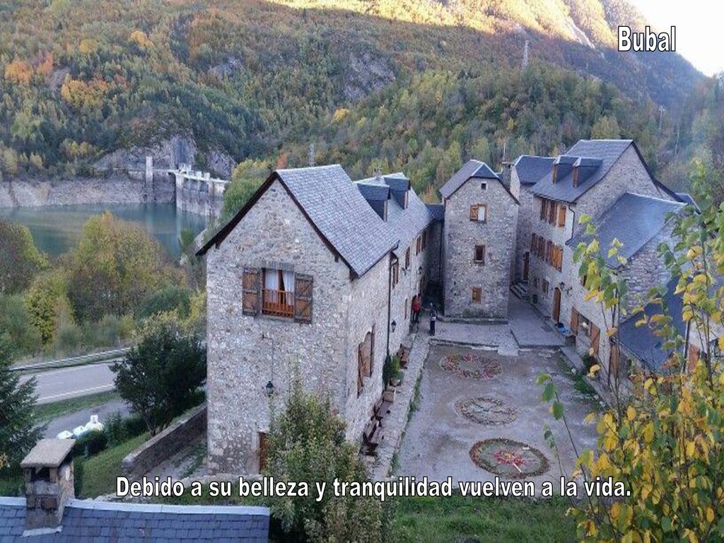 Debido a su belleza y tranquilidad vuelven a la vida.