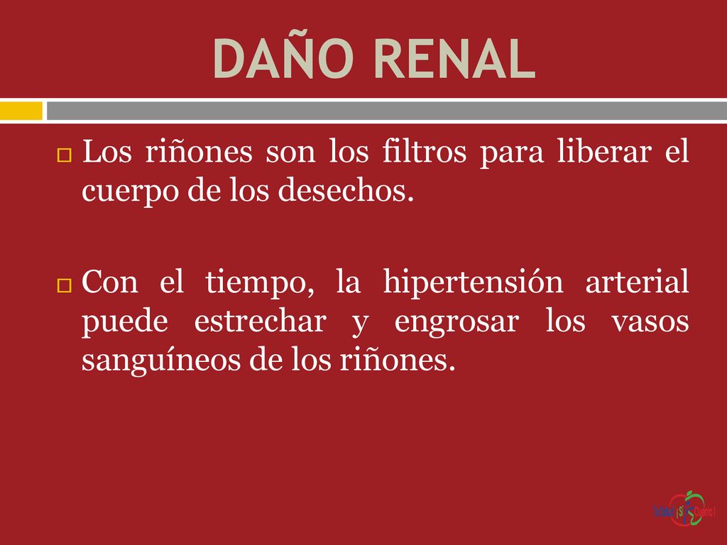 DAÑO RENAL Los riñones son los filtros para liberar el cuerpo de los desechos.