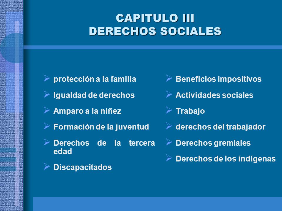CAPITULO III DERECHOS SOCIALES