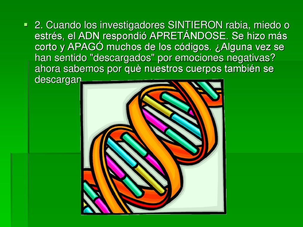2. Cuando los investigadores SINTIERON rabia, miedo o estrés, el ADN respondió APRETÁNDOSE.